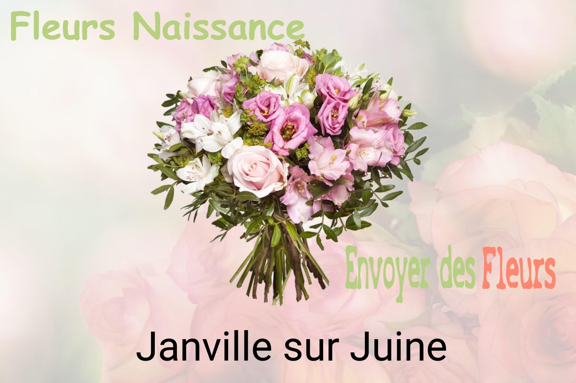Bouquet de fleurs de naissance livré à Janville-sur-Juine